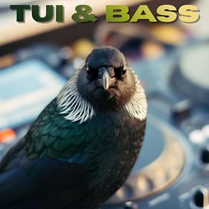 Tui & Bass
