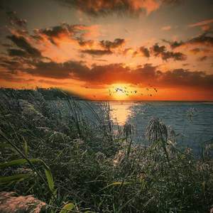 我曾（cover隔壁老樊）