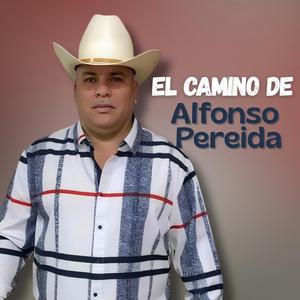 El Camino De Alfonso Pereida