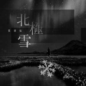北极雪