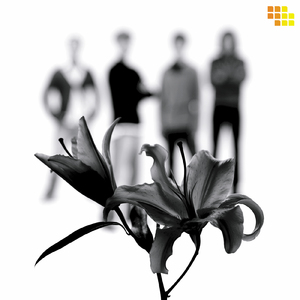 星一粒