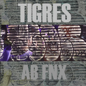 Tigres