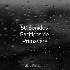 Mente Y Espíritu