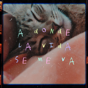 A donde la vida se me va