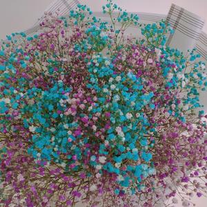 MOM（完整）（翻自 蜡笔小心）