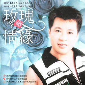 今夜又是雨绵绵