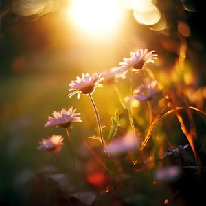 Моя память только с тобой