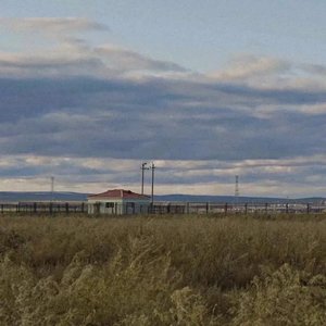 我会在那腥臭腐朽的日子里熠熠生辉/Asokah