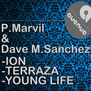 Young Life (Original Mix)