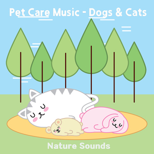 작은 입맞춤 (오르골) (숲소리)