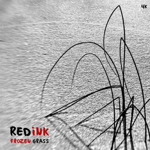 New Year Same Time Same Place