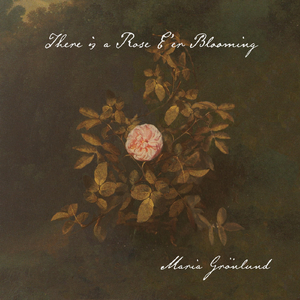 There Is a Rose E'er Blooming