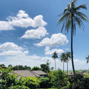 summer day