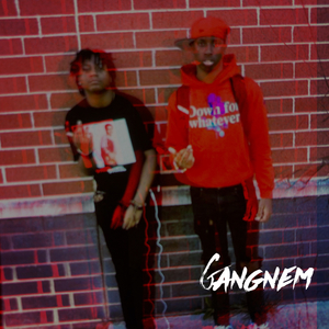 Gangnem