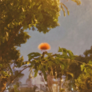 endless autumn