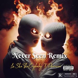 Never Seen (feat. Paxxion) (Remix)