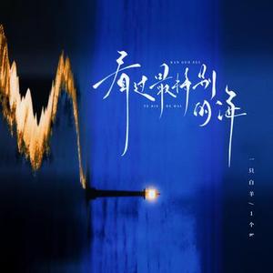 看过最特别的海