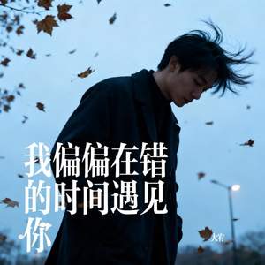 我偏偏在错的时间遇见你