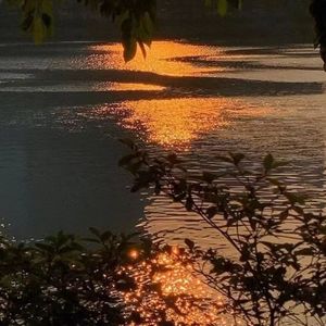 挚友（嘉兴好声音总决赛Live）