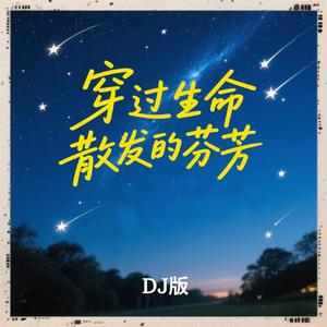 穿过生命散发的芬芳 (Dj版)
