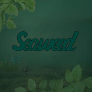 Seaweed