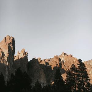 【Free】It‘s just a pity