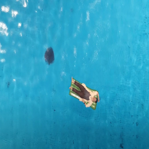 Suggetions Of The Nights