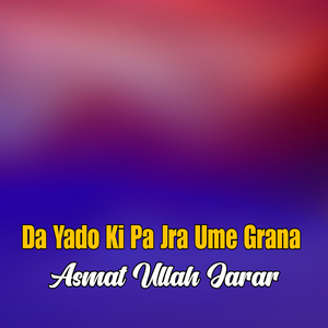 Bea Me Pa Zargi Agha Khuli Kisy Raghly