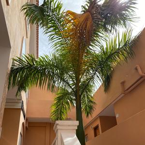 Too Clean (feat. $wish)