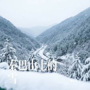 秦巴山上的雪