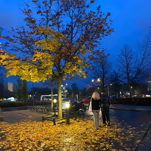 思君朝与暮 刘宇