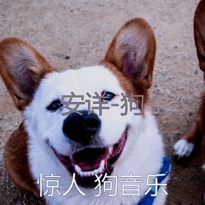 睡觉的小狗-振奋人心