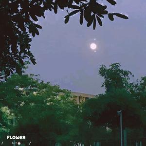 鲜花与你（prod by YeY）