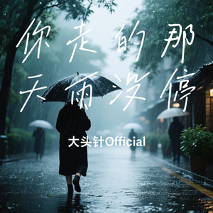 你走的那天雨没停