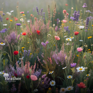 Heather