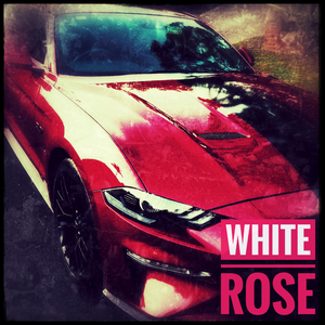 White Rose