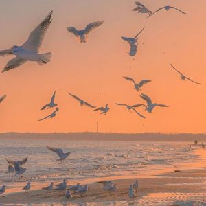 去有风的地方（｡ò ∀ ó｡）