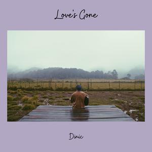 Love's Gone