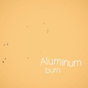 Aluminum
