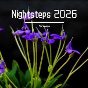 Stars shine in the night