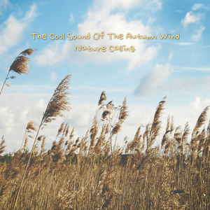 시원한 가을 바람소리