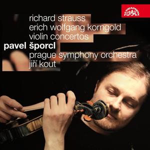 Concerto for Violin and Orchestra in D minor, Op. 8: II. Lento ma non troppo