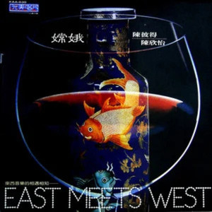 知音难寻(黑胶版)