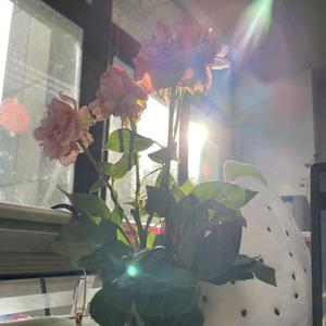 从昨天到明天instrumental