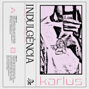 Indulgència (subjecte)