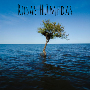 Rosas Húmedas