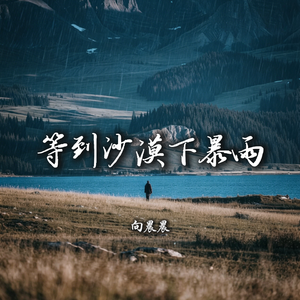 等到沙漠下暴雨