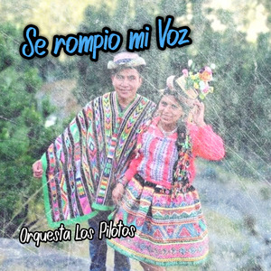Se Rompio Mi Voz