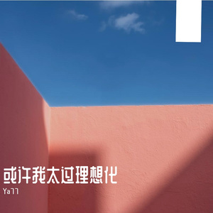 或许我太过理想化