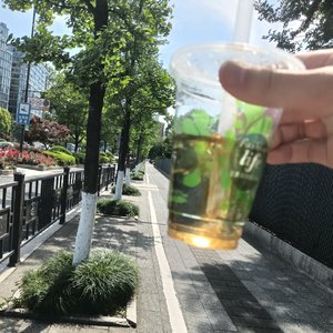《断线风筝》